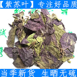 紫苏叶 苏子叶 纯净干紫苏叶中药材 500克优质 新鲜干货 生晒无硫