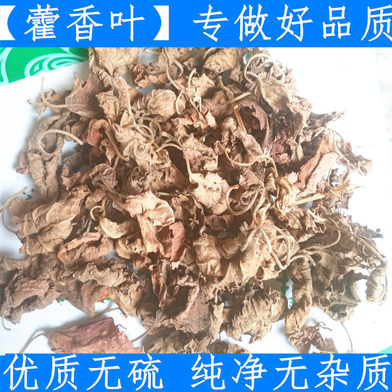 原料新鲜广西藿香中药材