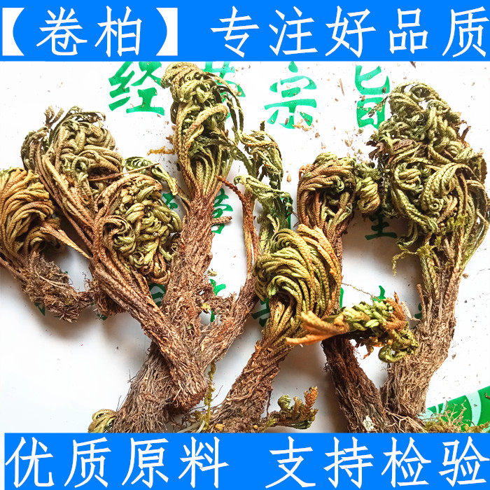 卷柏 九死还魂草一把抓老虎爪长生草万年松 中药材500克新鲜干货