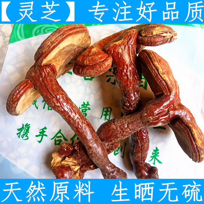 原料东北特产灵芝 长白山500克正品灵芝整棵灵芝原料