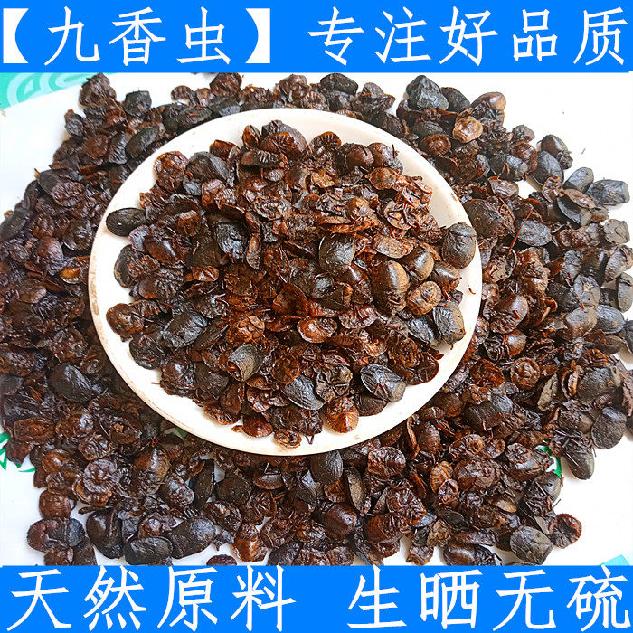 九香虫 黑兜虫蜣螂虫打屁虫屁巴虫瓜黑蝽中药材九香虫1斤支持验货