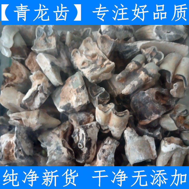 中药材青龙齿 正品龙齿化石 龙齿粒 龙齿个500g包邮另有白龙齿