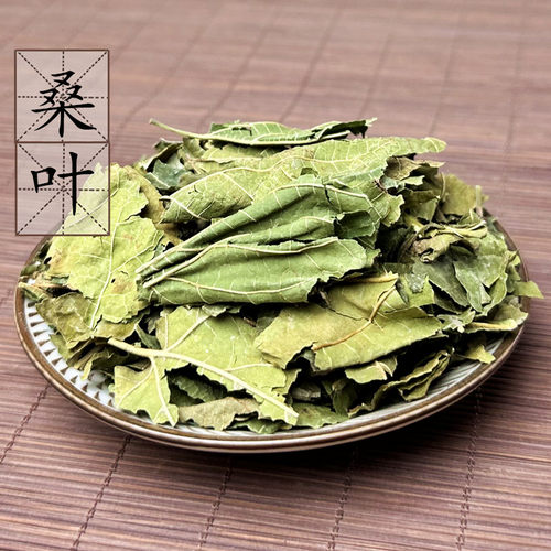 2斤包邮桑叶500g克桑葚叶黄桑叶