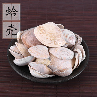 中药材供应 蛤壳 海蛤壳 非煅海蛤壳 500克 2件包邮