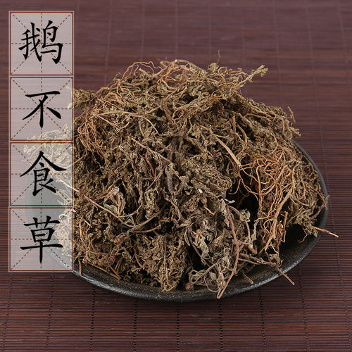 野生天胡荽鹅不食草2件包邮