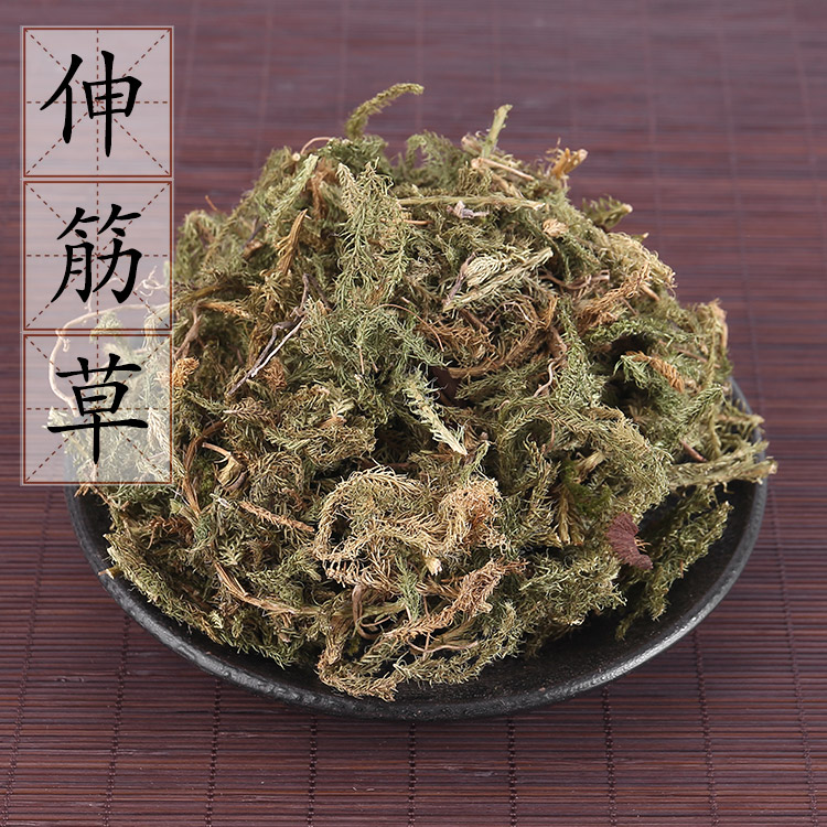 牛尾蕨根的药用功效图片