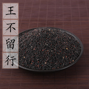 生王不留行子500g 王不留行籽 中药材供应 耳豆籽 耳贴籽 2斤包邮