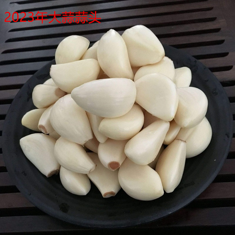 2023年陕西武功大蒜白蒜干大蒜白皮蒜蒜种蒜头5斤