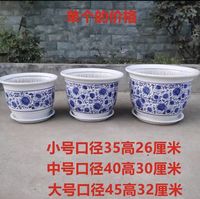 Guangdong ceramic flower POTS: Money tree, Happiness tree, Iron tree, Dragon's Blood tree, large potted plants, large ceramic flower POTS with free shipping thumbnail 4