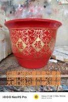 Guangdong ceramic flower POTS: Money tree, Happiness tree, Iron tree, Dragon's Blood tree, large potted plants, large ceramic flower POTS with free shipping thumbnail 3