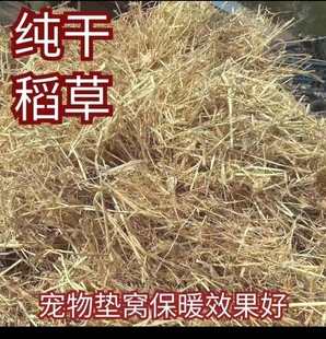 稻草垫窝保暖干净干燥东北小鸡保暖养兔子鸽子窝繁鸽子窝垫草垫子