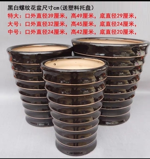 广东瓷发财树幸福树大型盆栽大号陶瓷盆蝴蝶兰种树特大号陶瓷花盆