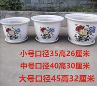 Guangdong ceramic flower POTS: Money tree, Happiness tree, Iron tree, Dragon's Blood tree, large potted plants, large ceramic flower POTS with free shipping thumbnail 5