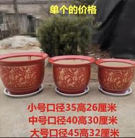 Guangdong ceramic flower POTS: Money tree, Happiness tree, Iron tree, Dragon's Blood tree, large potted plants, large ceramic flower POTS with free shipping thumbnail 7
