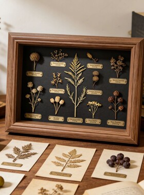 欧式植物标本果实种子相框diy手工创意干花展示框立体中空2cm画框