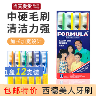 家用清洁便携特价 进口Formula西德美人牙刷成人款 中硬毛家庭装