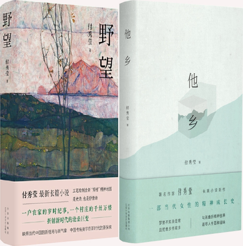 付秀莹长篇小说2册野望他乡