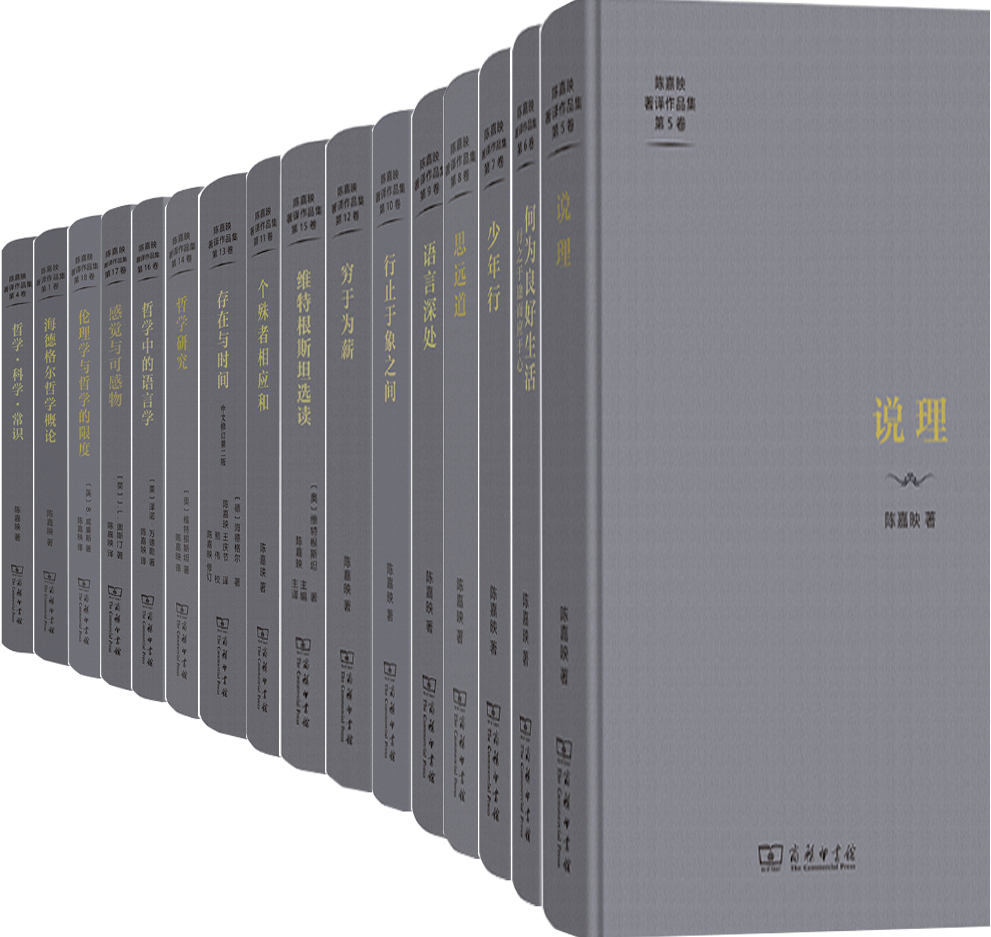 【正版包邮】陈嘉映著译作品集第1-18卷 海德格尔哲学概论+《存在与时间》述略+简明语言哲学+哲学·科学·常识等