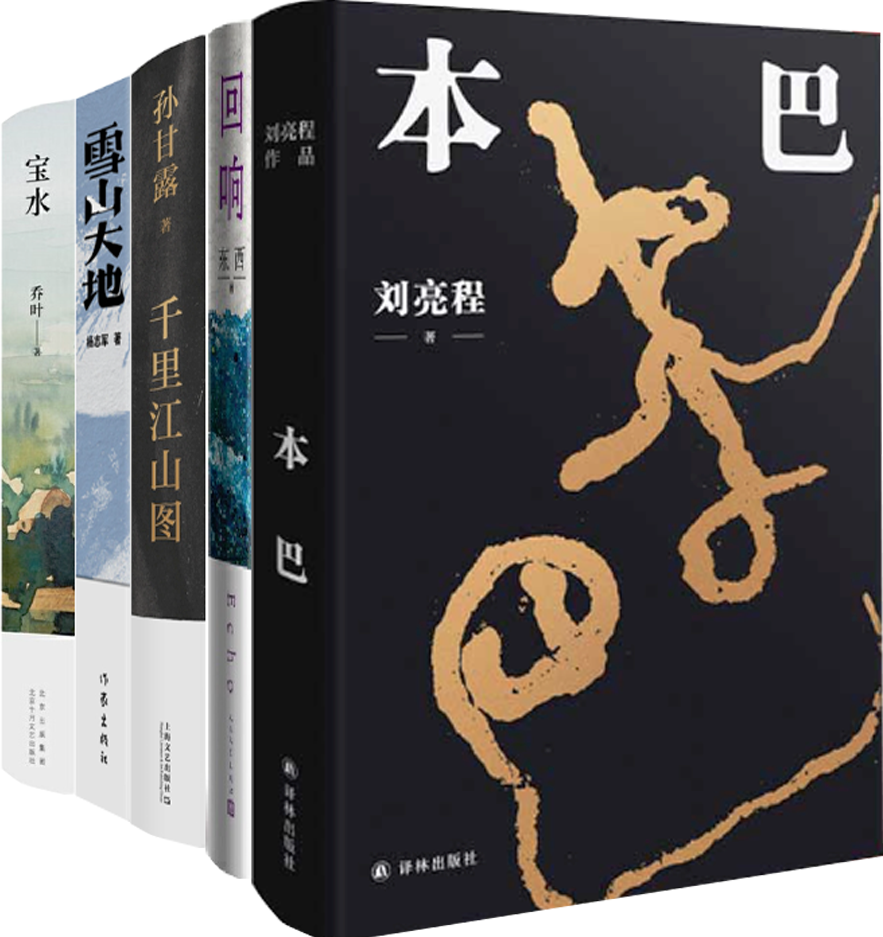 【正版包邮】第十一届茅盾文学奖获奖作品5册：回响+千里江山图+宝水+本巴+雪山大地 长篇小说使用感如何?