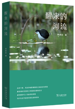 【正版包邮】醒来的河流  作者:肖辉跃  出版社:商务印书馆