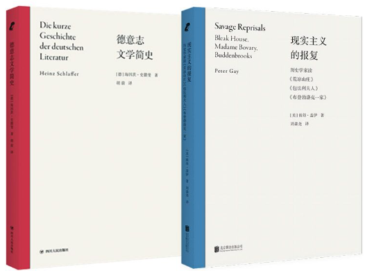 【正版包邮】“论文学”文学批评及导读（现实主义的报复、德意志文学简史）共2册