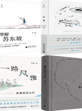 【正版包邮】诗想者系列4册：理解苏东坡+朱雀+一路风雅+黑色的火光