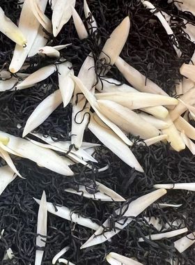 新茶手工窨制白兰九曲红梅50g