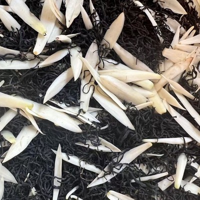 新茶手工窨制白兰九曲红梅50g