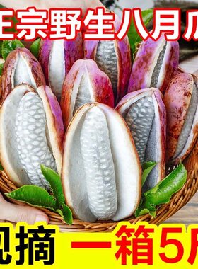 【顺丰包邮】网红八月瓜炸奇果