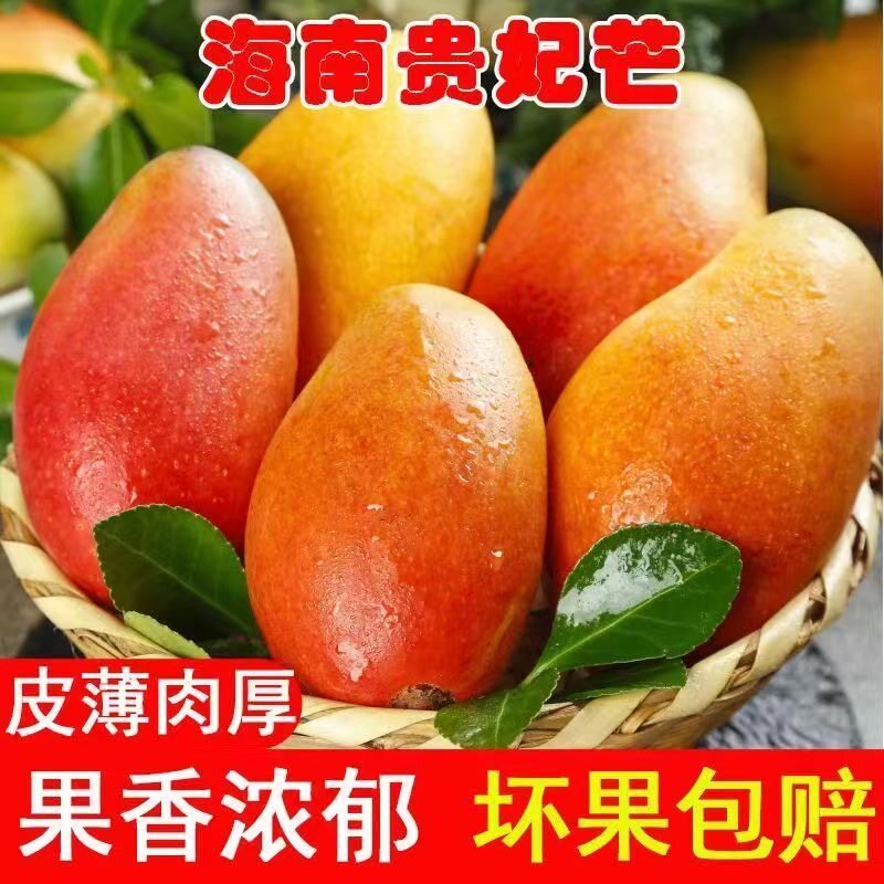 贵妃芒果树上熟纯甜爆汁皮核薄肉厚新鲜水果当应季限量疯抢