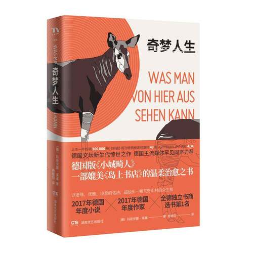 正版奇梦人生9787540493530 玛丽安娜·莱基湖南文艺出版社小说  书籍