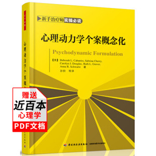 万千心理 心理动力学个案概念化 新手师实操必读心理学书籍心理动力学专业培训项目教材心理医生师咨询师培训指导书