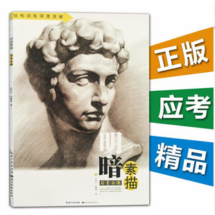 明暗素描石膏头像 高考美术校联艺考前临摹参考指导书籍零基础初学者入门自学素描速写人物场景结构透视绘画技法教程教材临摹范本