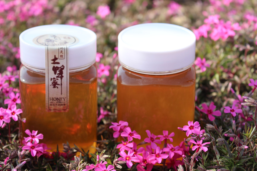 枣花蜜 农家蜂蜜 枣花蜜纯野生山货土蜂蜜纯天然