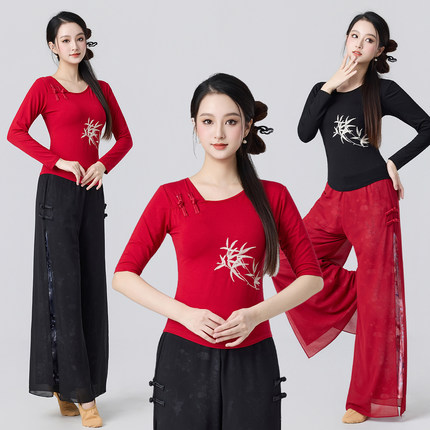 民族风广场舞服装秋季女新款修身短袖上衣现代古典舞蹈形体训练服