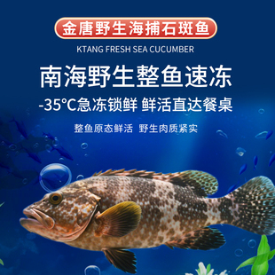 【顺丰冷链】金唐海产野生石斑鱼400g*2盒新鲜冷冻海鲜水产石斑鱼