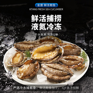 金唐鲜冻鲍鱼500g鲜活冷冻鲍鱼海鲜水产非即食小鲍鱼捞汁饭