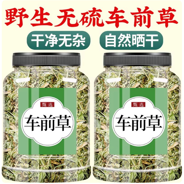 车前草500g泡水养生野生车前草猫爪草泡茶新鲜干货滋补中草药