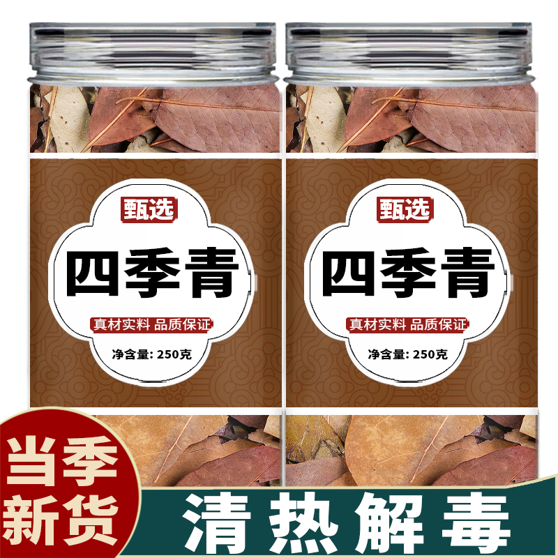 四季青中药饮片500g中药材正品官方旗舰店野生新鲜泡水泡茶冬青叶