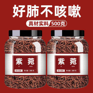 紫菀中药材紫苑生紫宛紫菀须根返魂草青苑粉新鲜水洗根须新干货