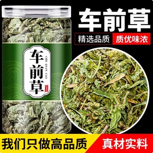 车前草野生干货500g中药材车前子车轮草功效官方旗舰店整棵车前草