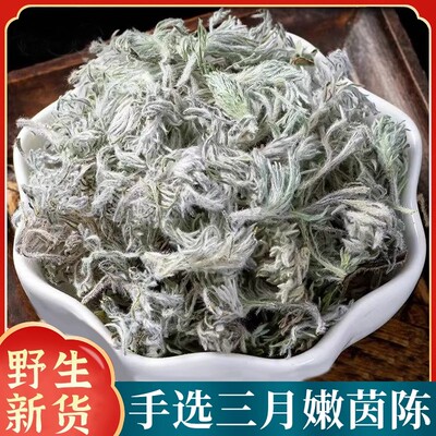 整棵绵茵陈中药材新货锦因陈白蒿