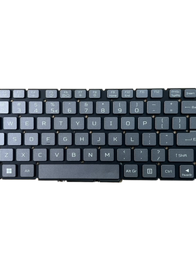 适用Acer PT516-52s Predator Triton 300SE (PT314-51S) 键盘US