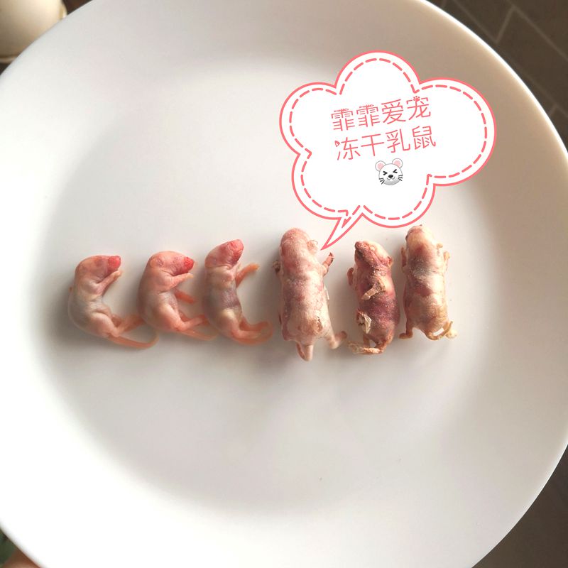 冻干乳鼠 猫零食 生骨肉 补充牛磺酸 赖氨酸 高品质猫咪零食