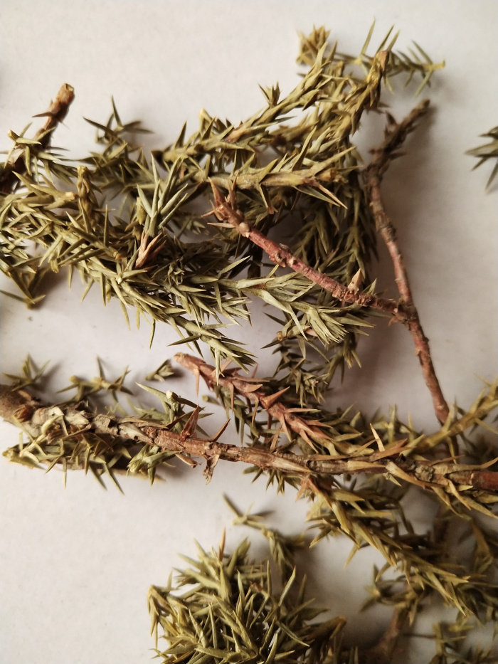 山刺柏 短柏木包邮