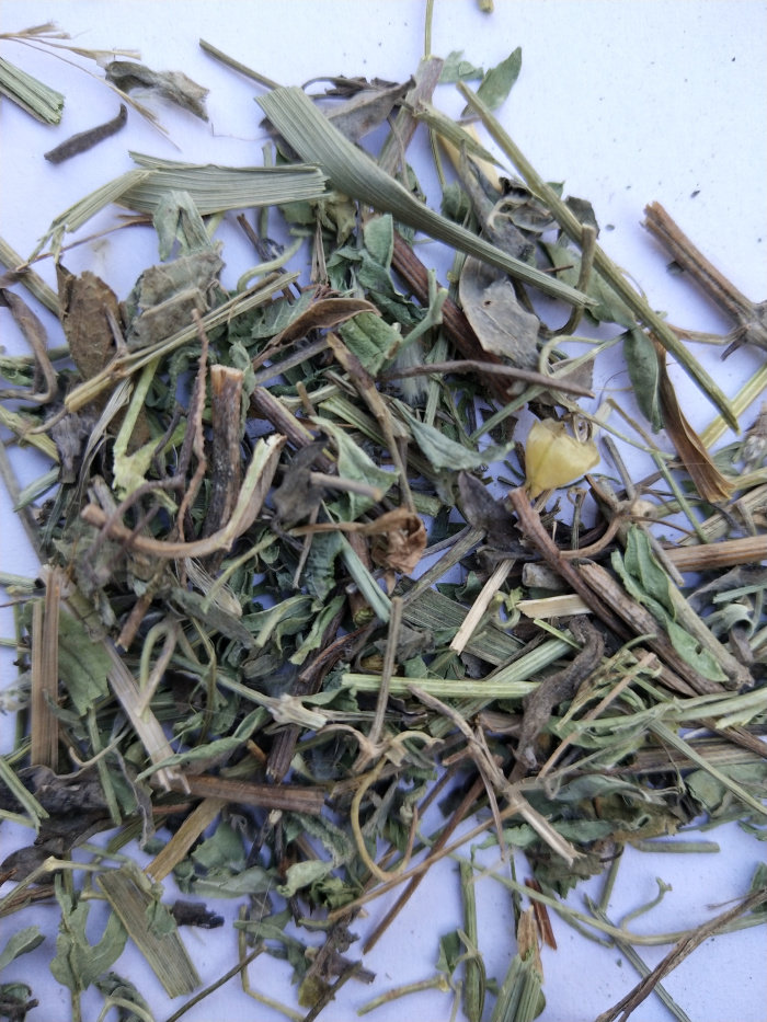 新货黄花铁线莲 透骨草 竹格叉 狗肠草 吉盖草 枸皮草500克包邮