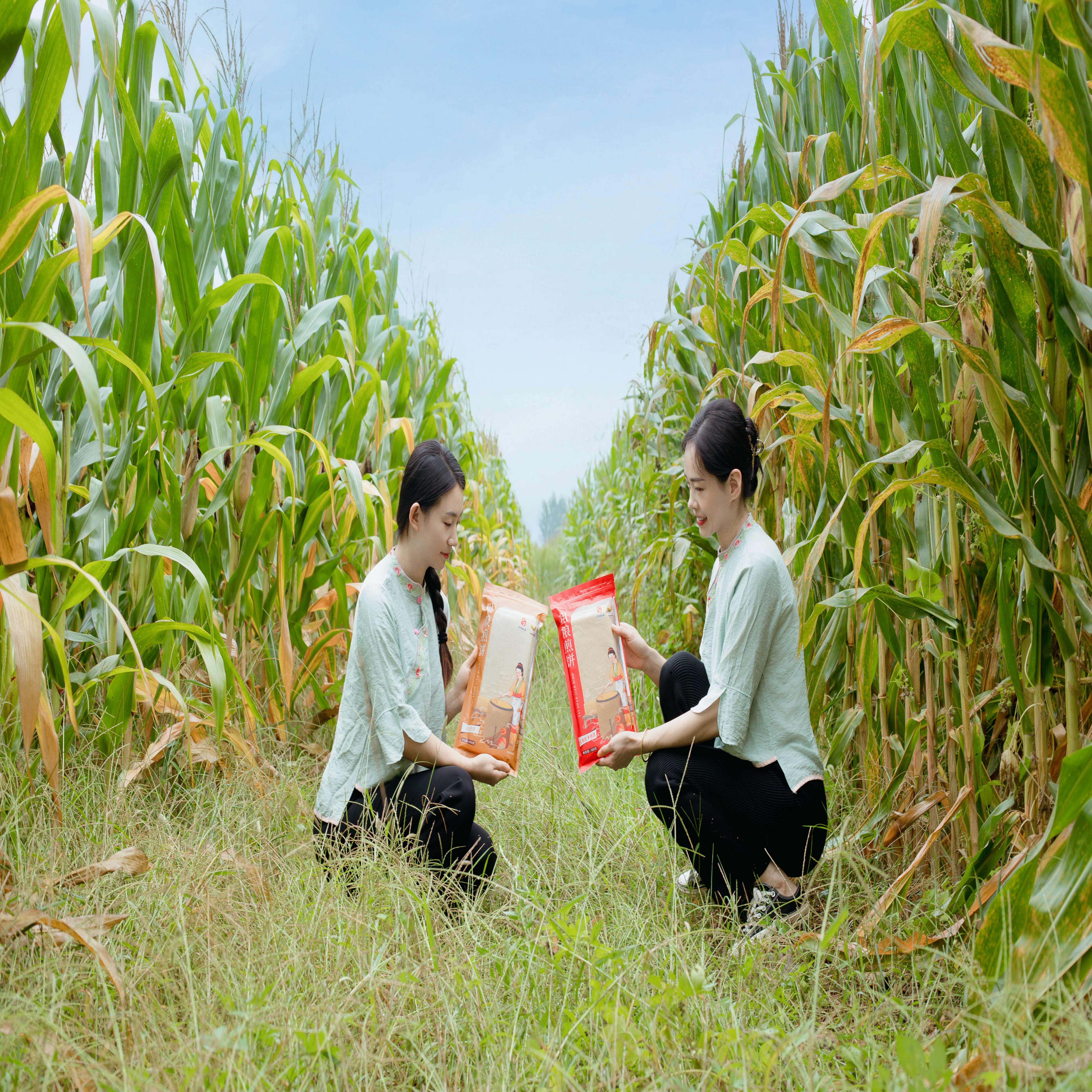 玉女湖山东特产泰山杂粮五谷软煎饼 小米玉米软糯美味500克/袋