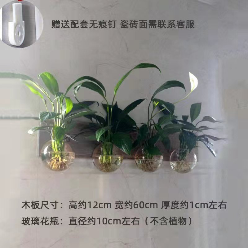 上新创意壁挂墙上木板水培植物玻璃花器工艺画家居背景墙装饰挂件图片