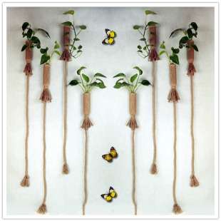 饰挂件简约 DIY复古麻绳水培植物玻璃花插家居幼儿园民宿墙面装