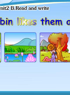 矢量动画flash制作精品：Robin likes them all!